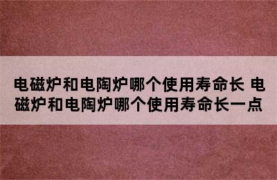 电磁炉和电陶炉哪个使用寿命长 电磁炉和电陶炉哪个使用寿命长一点